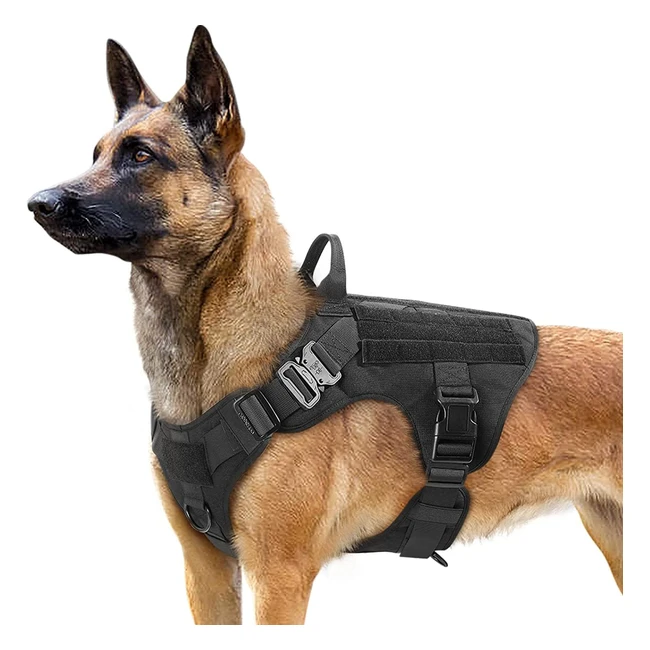 Rabbitgoo Tactical Dog Harness M/L - Metal Buckles, Molle Panels, No-Pull Vest