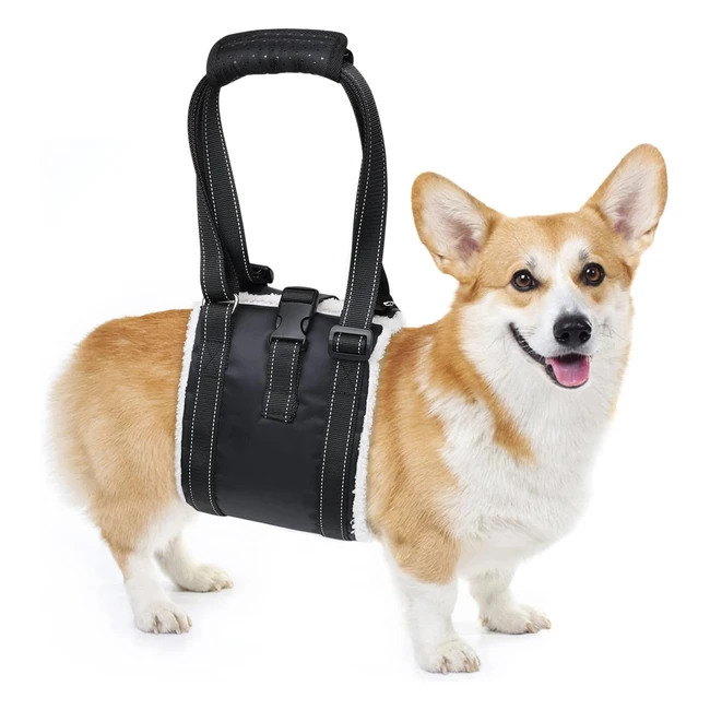 Adjustable Dog Lifting Harness with Antislip Buckle - Support and Rehab for Weak Rear Legs - Soft Sling Assist - Senior, Injured, Disabled - ACL Surgery Rehab