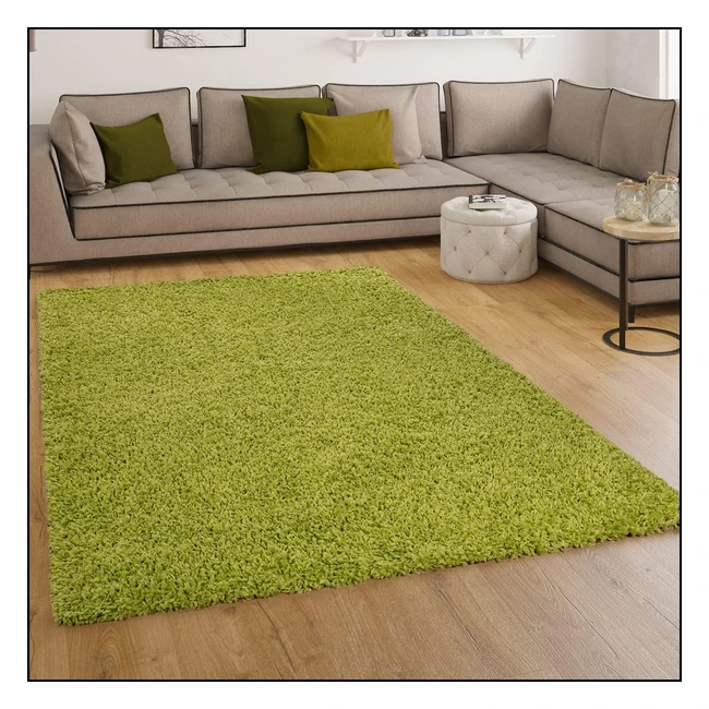 Paco Home Shaggy Hochflor Langflor Teppich Sky Grün 60x100cm