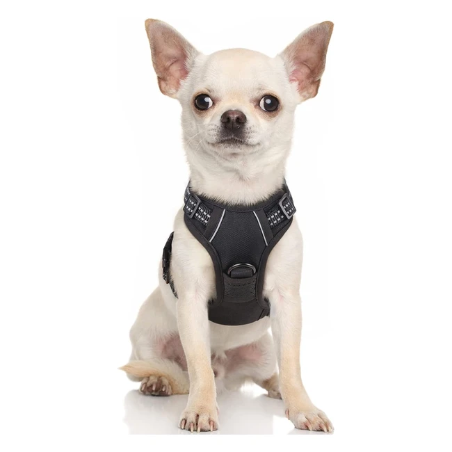 rabbitgoo Dog Harness Small Dog No Pull Pet Harness XS