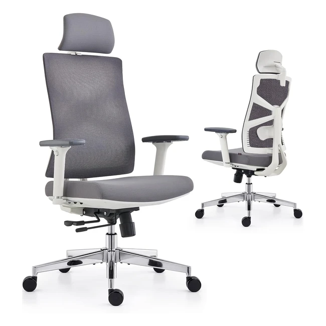 Holludle Ergonomic Office Chair - Adaptive Backrest High Back 4D Armrests Adj