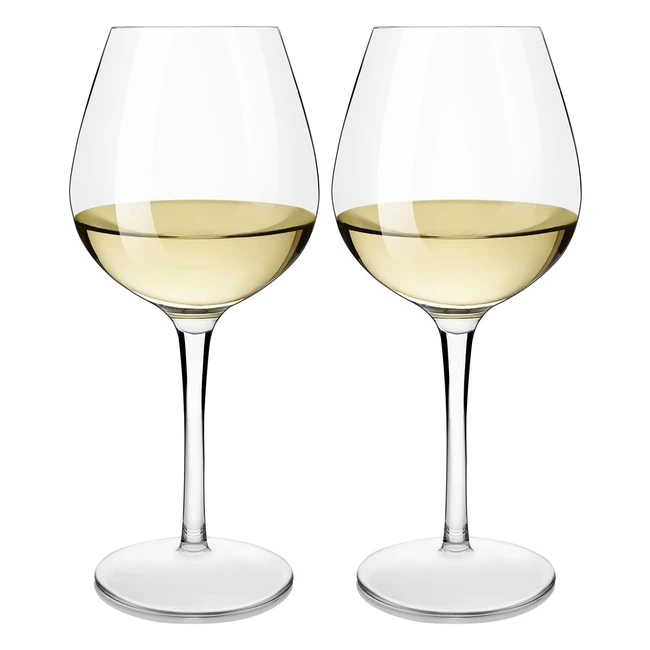 Calici da vino infrangibili Michley Tritan - Set di 2 - Plastica dura - 440ml