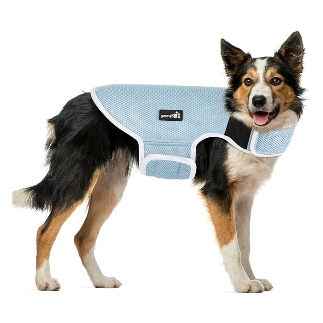 Gilet rinfrescante Pecute per cani - XXL