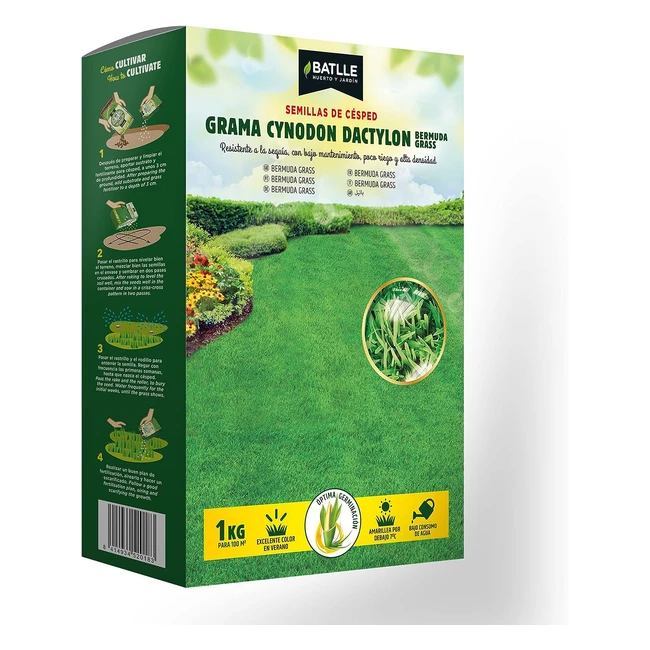 Grama Cynodon Dactilon Bermgrass Pild - Resistente, Tolerante al Pisoteo