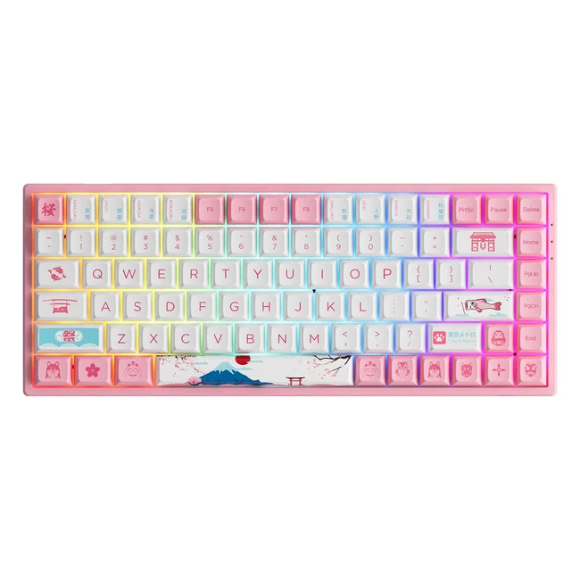 Akko 3084B RGB Plus - Tastiera Meccanica Gaming Multi Modes BT5024GHZ Tipo C - Copritasti PBT Dyesub - Macro Programmabile - Tokyo Lineare Switch