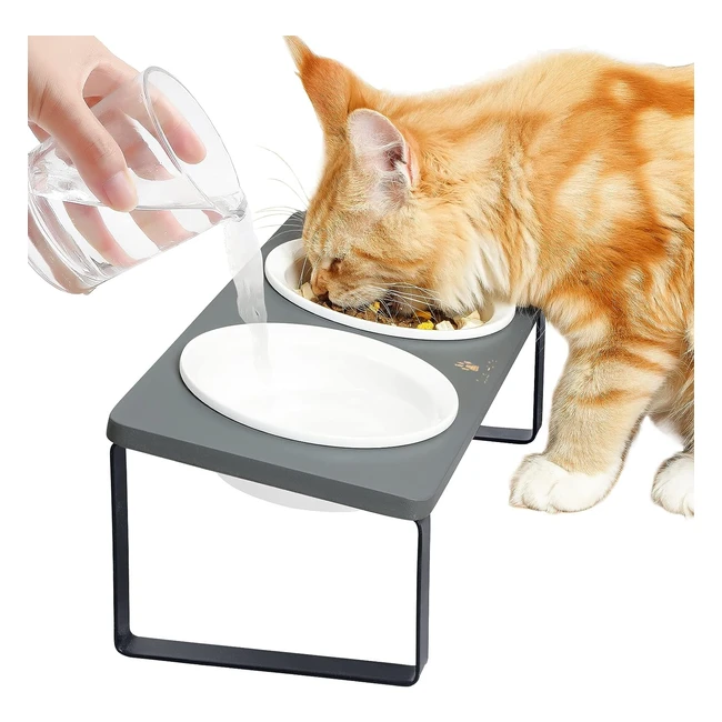 Comedero ergonómico para gatos - Aumenta la comodidad y previene enfermedades - Referencia: 123456