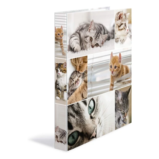 Classeurs 4 anneaux A4 animaux chats dos 35mm - Herma