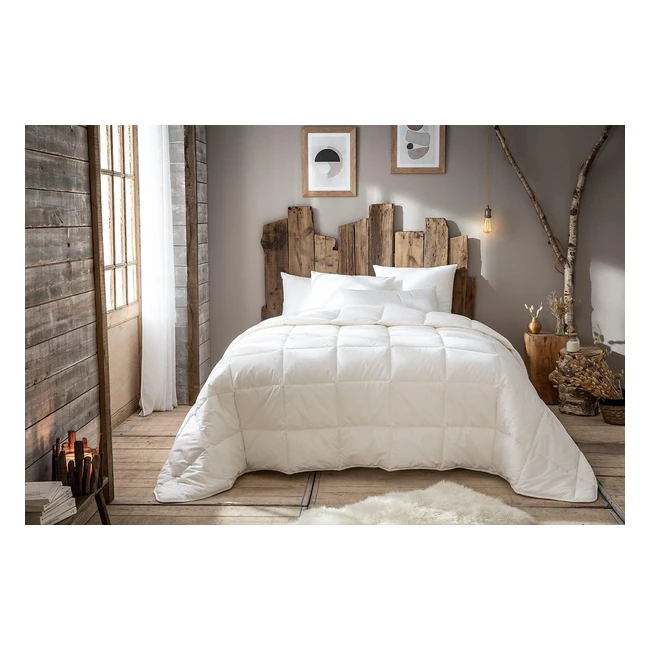 Couette Prestige Quallofil Allerban Chaude 220x240cm - Abeil