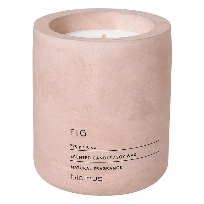 Bougie parfumée Blomus Fraga Rose Dust, cire de soja effet béton, longue durée