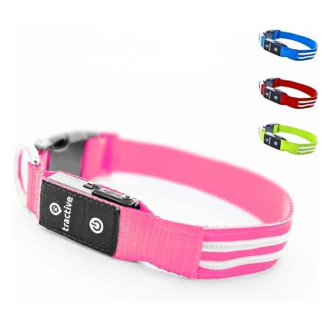 Collier chien LED lumineux Tractive rechargeable USB étanche rose