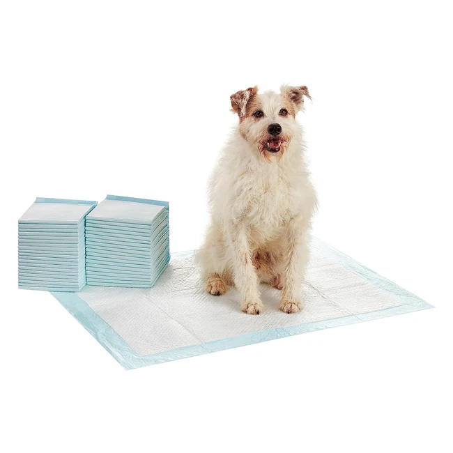 Amazon Basics Dog Training Pads XL 40-Pack - Leakproof 5-Layer Design, Quick-Dry Surface