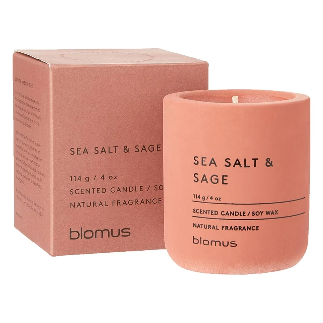 Bougie parfumée Blomus Fraga Withered Rose S - Effet béton - Cire de soja
