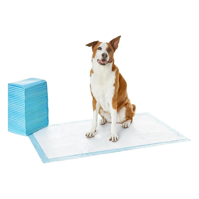 Amazon Basics Dog Training Pads - Leakproof 5-Layer Design - Giant Pack of 30