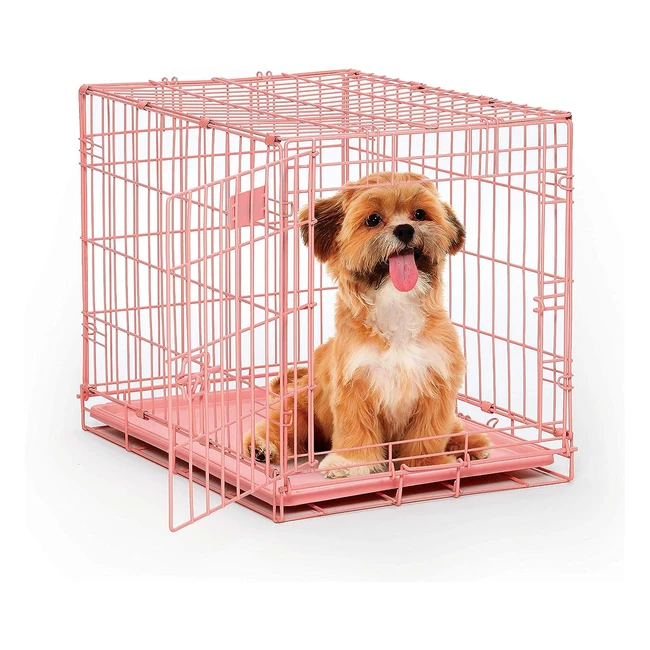 Pink Dog Crate Midwest iCrate 24 Inch - Folding Metal Crate with Divider Panel 