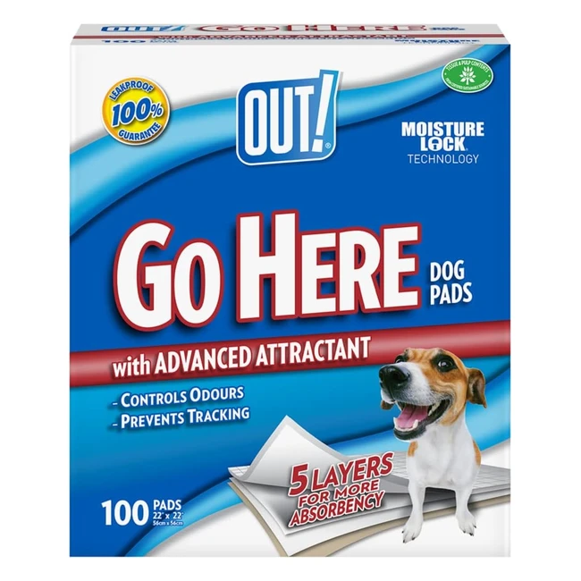 Out Go Here Absorbent Pet Training Pads - 100 Pads | Fast Absorption, Odor Control, Leak Prevention