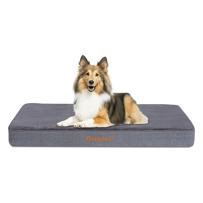 Coussin orthopdique pour chien Geegoos XL - Confort et soutien pour votre comp