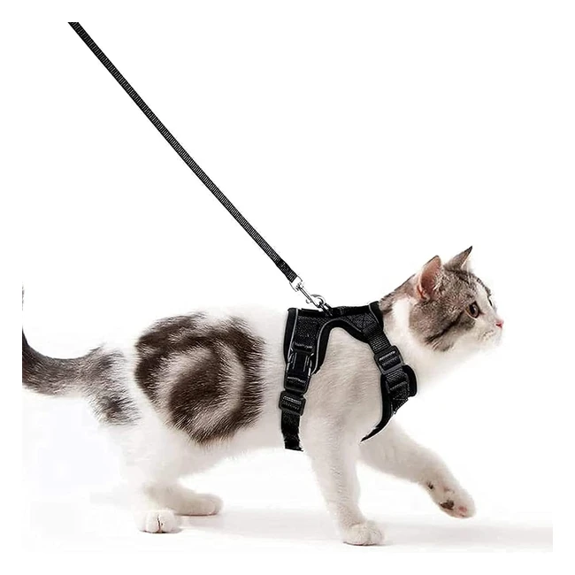 Harnais chat petit chien Wdmiya XS noir - Rglable rflchissant respirant