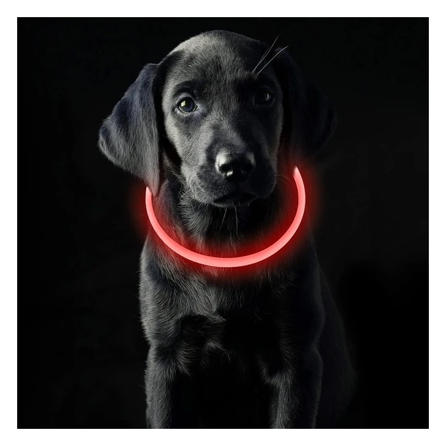 Collare Luminoso per Cani USB Ricaricabile - Coolzon - Modalità Regolabili - Taglia Piccola/Media/Grande - Rosso