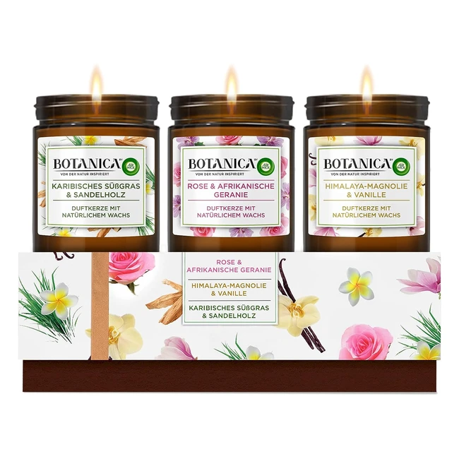 Botanica by Air Wick Duftkerzen Geschenkset - 3 Dfte bis zu 40 Stunden pro Kerz