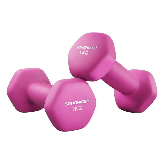 Songmics Set of 2 Hexagonal Dumbbells - Home Workout Fitness Training Exercise