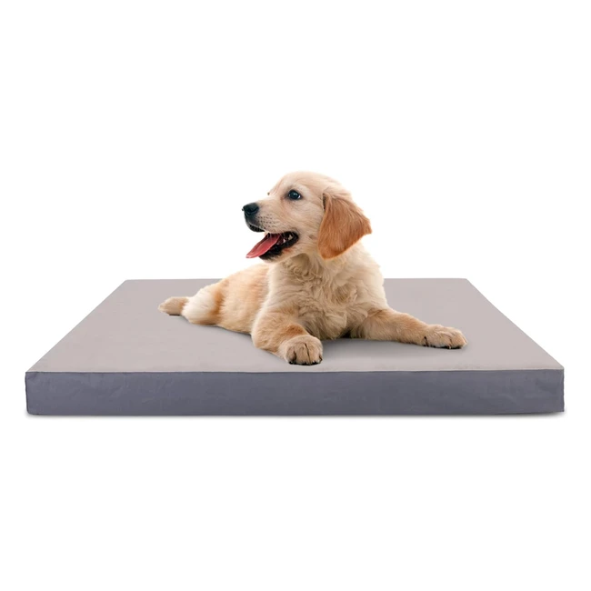Panier Chien Orthopédique Nobleza - Taille 60x40x8cm - Lavable et Confortable - Gris