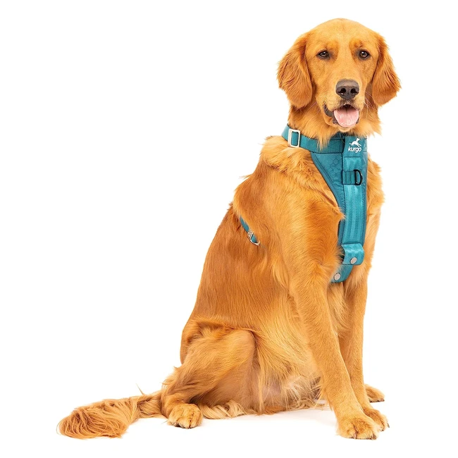 Kurgo Enhanced Strength TruFit Smart Harness for Dogs - Ink Blue, Large - Crash Tested & Adjustable