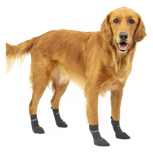 Kurgo Blaze Dog Socks - Stretchable Outdoor Pet Socks - Grey (Medium)