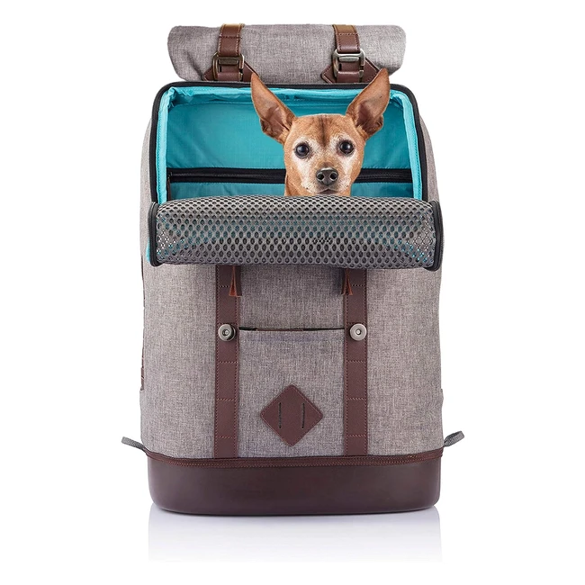 Sac à dos de transport Kurgo K9 pour petits chiens et chats - Étanche et pliable - Gris