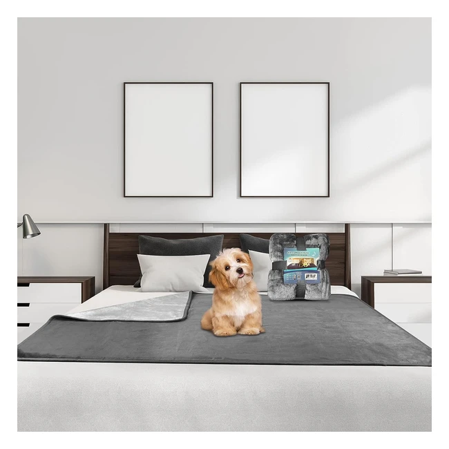 Coperta Impermeabile Reversibile per Letti e Divani - Protezione da Perdite di Urina - Grigio Scuro/Grigio Chiaro - 203x229cm