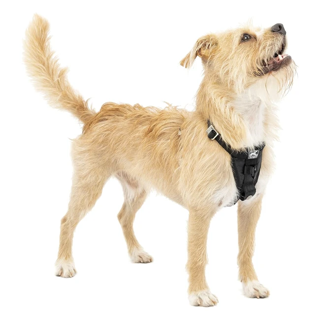 Kurgo Enhanced Strength TruFit Dog Car Harness - Crash Tested - Small - Black