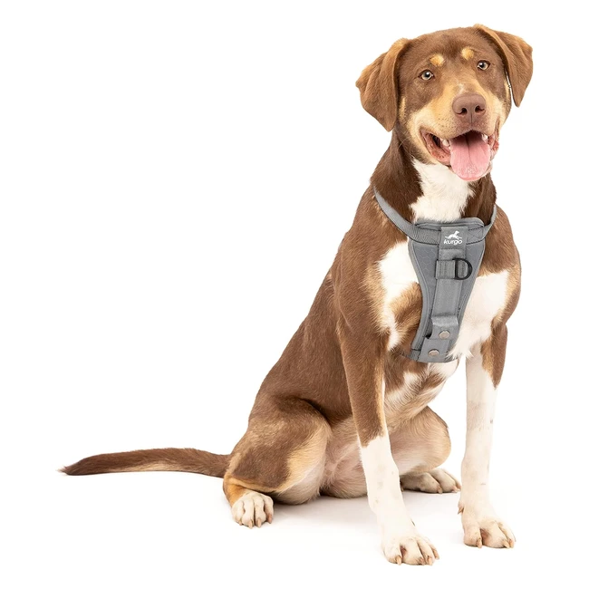 Kurgo Enhanced Strength TruFit Smart Harness for Dogs - Charcoal Medium