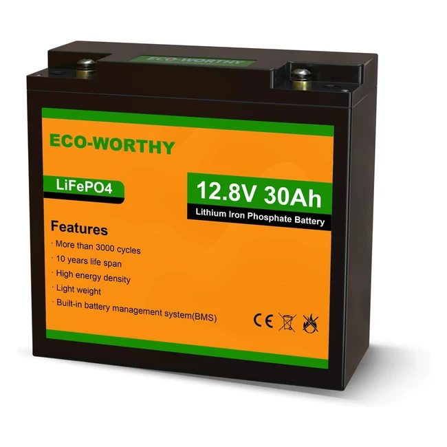 Eco-Worthy 30Ah Lithium Battery - 10 Year Lifespan BMS Protection