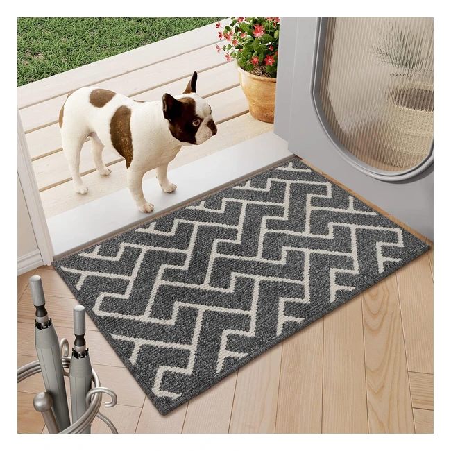 biscpro Indoor Door Mat 50x80cm Non-Slip Absorbent Dirt Trapper - Gray