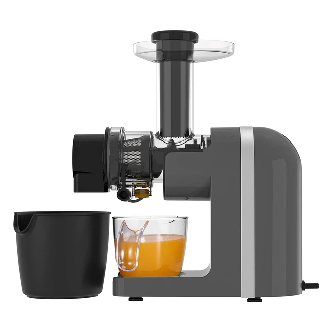 Easy to Clean Slow Masticating Juicer Extractor - Fresh Fruits  Vegetables Juic