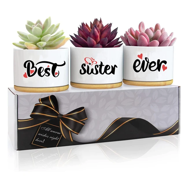 Unique Succulent Pots - Birthday Gifts for Sister