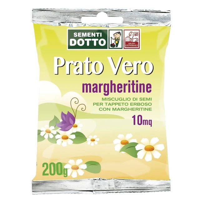 Prato Margheritine Verde 12x20x2 cm - SDD 40030080 - Pianta Perenne Nana e Rusti