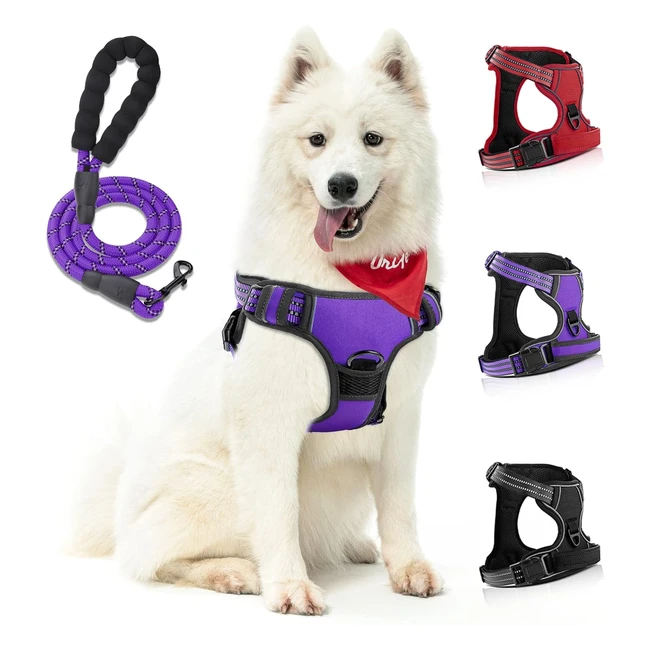 Harnais anti-traction pour chien Siboter - Réfléchissant - Confortable - Violet