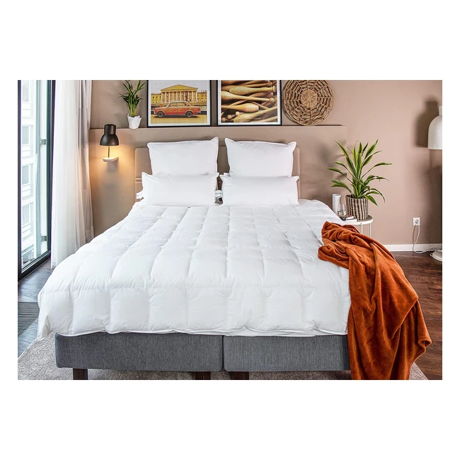 Befa Natur Daunenbettdecke 240x220 cm - Sommerdecke, Allergiker geeignet