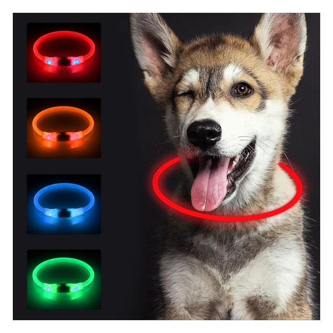 Collare Luminoso per Cani Sonnig - Ricaricabile e Regolabile - Sicuro per Cani di Tutte le Taglie