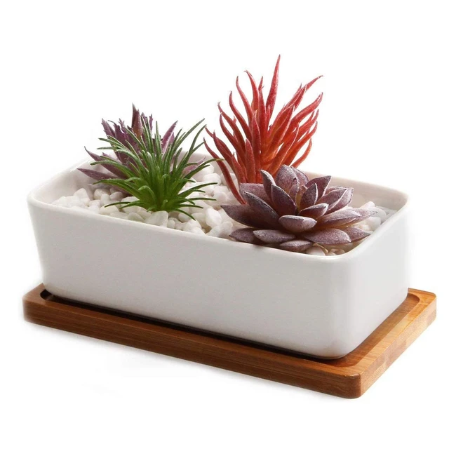 Conjunto de 1 maceta blanca rectangular de cerámica - Ideal para suculentas y cactus