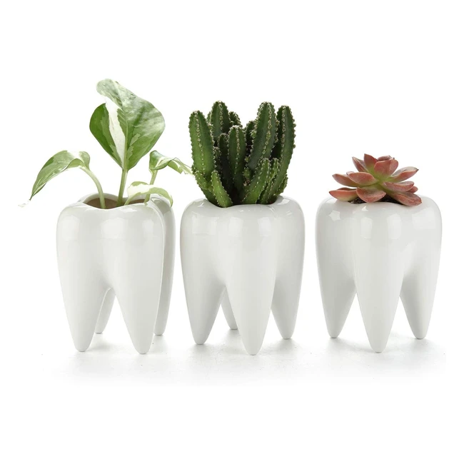 Macetas para cactus T4U - Paquete de 3 maceteros pequeños de cerámica para suculentas - Decorativos para casa y jardín