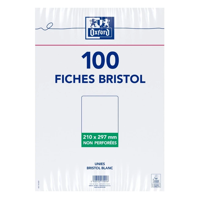Cartoncini Bristol Bianchi A4 - Oxford100 - Alta Qualit - 210g - Certificato E
