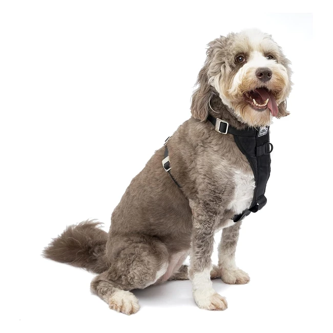 Kurgo Enhanced Strength TruFit Dog Car Harness - Crash Tested - Steel Buckles - Large - Black