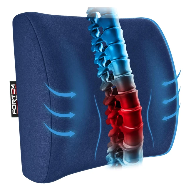 Fortem Lumbar Support Pillow for Car and Office Chair - Memory Foam Back Cushion - Washable Cover - Blue