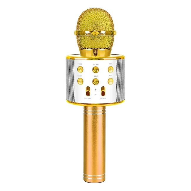 Singing Microphone for Kids  High-Quality Sound  Portable and Stylish  Blueto