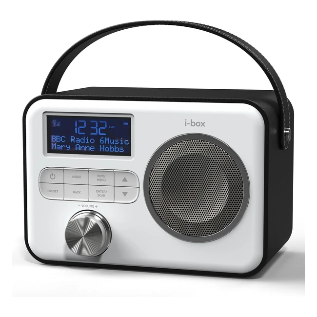 Portable Bluetooth Speaker - DAB Radio FM Radio - USB Charging - 10 Hours Playback