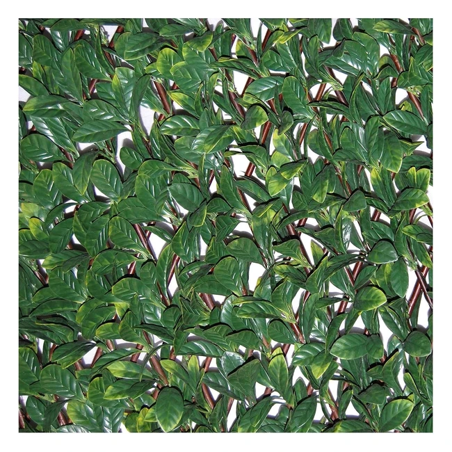 Tenax Hecke PU auf ausziehbares Rankgitter Divy Grn 200x4x100cm 1A150277