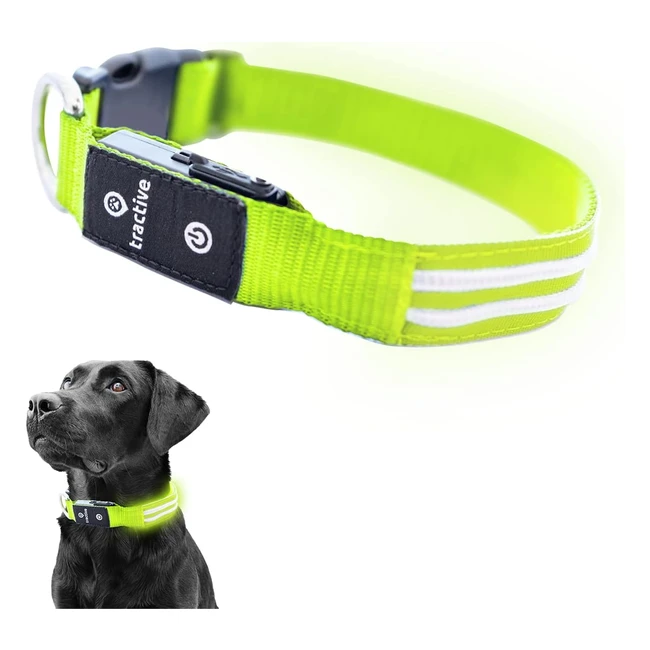 Tractive LED Hunde-Halsband grn wasserdicht USB aufladbar