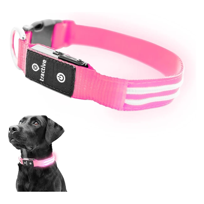 Tractive LED-Leuchthalsband fr Hunde USB-aufladbar wasserdicht pink M