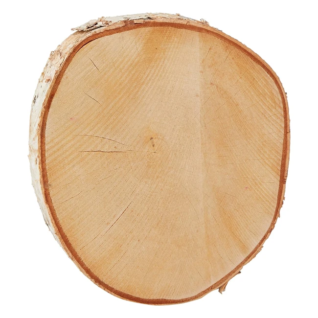 Disque en bouleau 25-28 cm - Rayher 55806000 - Polyvalent et élégant